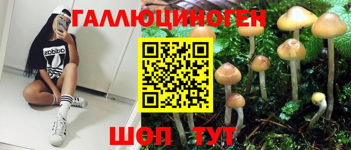 Псилоцибиновые грибы ЛСД Амурск